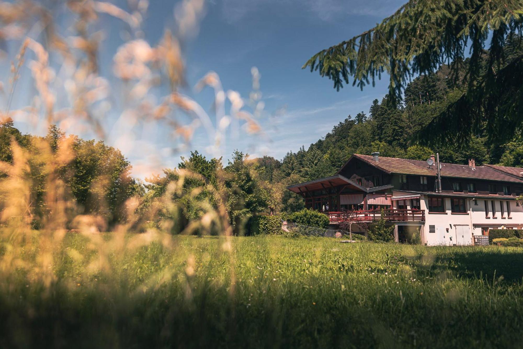 Hotel Au Vieux Moulin Graufthal 외부 사진